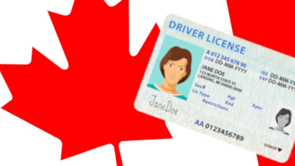Canada’s New 80+ Senior Driving Licence Renewal Policy Explained August 2025